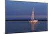 Sailboat And Seagulls At Dusk-Anthony Paladino-Mounted Giclee Print