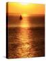 Sailboat at Sunset I-Kathy Mansfield-Stretched Canvas