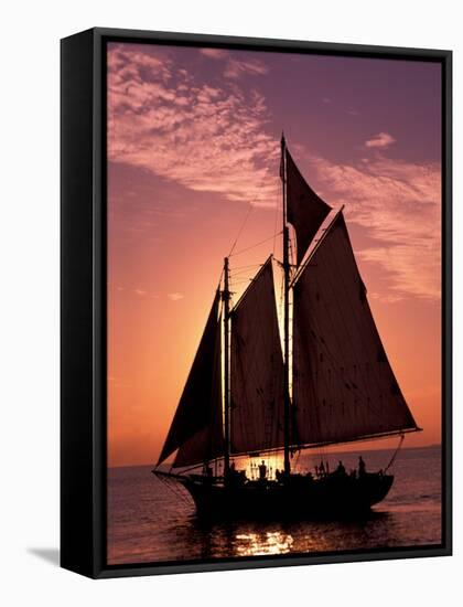 Sailboat at Sunset, Key West's Old Town Harbour, Florida Keys, Florida, USA-Greg Johnston-Framed Stretched Canvas