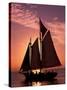 Sailboat at Sunset, Key West's Old Town Harbour, Florida Keys, Florida, USA-Greg Johnston-Stretched Canvas