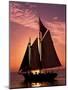 Sailboat at Sunset, Key West's Old Town Harbour, Florida Keys, Florida, USA-Greg Johnston-Mounted Photographic Print
