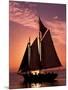 Sailboat at Sunset, Key West's Old Town Harbour, Florida Keys, Florida, USA-Greg Johnston-Mounted Photographic Print