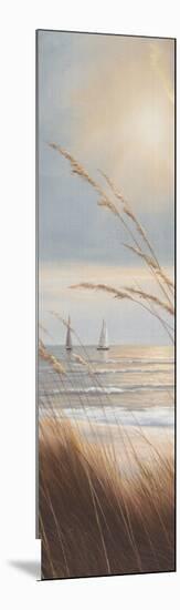 Sailboat Breezeway Panel II-Diane Romanello-Mounted Art Print