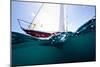 Sailboat Competing in the Grenada Sailing Festival, Grenada-null-Mounted Photographic Print