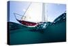 Sailboat Competing in the Grenada Sailing Festival, Grenada-null-Stretched Canvas