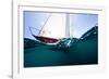 Sailboat Competing in the Grenada Sailing Festival, Grenada-null-Framed Photographic Print