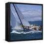 Sailboat Crew-null-Framed Stretched Canvas