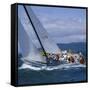 Sailboat Crew-null-Framed Stretched Canvas