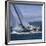 Sailboat Crew-null-Framed Photographic Print