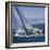 Sailboat Crew-null-Framed Photographic Print