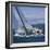 Sailboat Crew-null-Framed Photographic Print