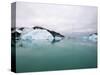 Sailboat Cruising the Arctic-Onne van der Wal-Stretched Canvas