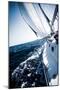 Sailboat in Action, Extreme Sport, Luxury Water Transport, Summer Vacation, Cruise in the Sea, Acti-Anna Omelchenko-Mounted Photographic Print