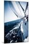 Sailboat in Action, Extreme Sport, Luxury Water Transport, Summer Vacation, Cruise in the Sea, Acti-Anna Omelchenko-Mounted Photographic Print