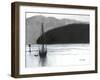 Sailboat in Anacortes Harbor, C.2021 (Charcoal, Ink and Gesso on Paper)-Janel Bragg-Framed Giclee Print