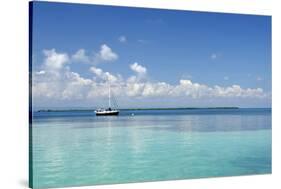 Sailboat in Clear Caribbean Sea, Southwater Cay, Stann Creek, Belize-Cindy Miller Hopkins-Stretched Canvas