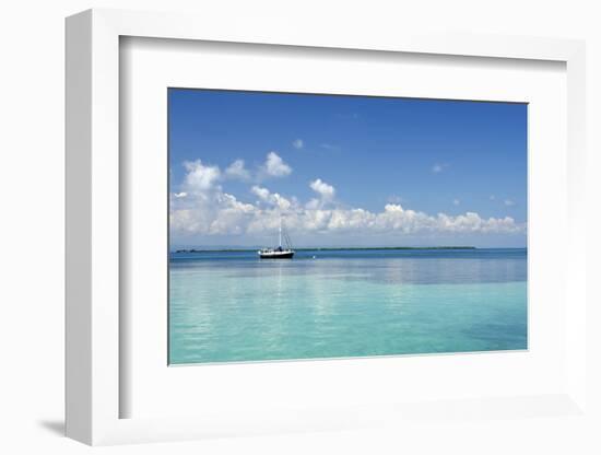 Sailboat in Clear Caribbean Sea, Southwater Cay, Stann Creek, Belize-Cindy Miller Hopkins-Framed Photographic Print