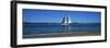 Sailboat in Ocean, Provincetown, Cape Cod, Barnstable County, Massachusetts, USA-null-Framed Photographic Print