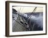 Sailboat in Rough Water, Ticonderoga Race-Michael Brown-Framed Premium Photographic Print