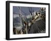 Sailboat in Rough Water, Ticonderoga Race-Michael Brown-Framed Premium Photographic Print