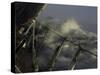 Sailboat in Rough Water, Ticonderoga Race-Michael Brown-Stretched Canvas