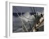 Sailboat in Rough Water, Ticonderoga Race-Michael Brown-Framed Photographic Print