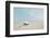 Sailboat in Teal and Coral-Brooke T. Ryan-Framed Photographic Print