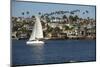 Sailboat in the Pacific Ocean, Newport Beach, Orange County, California, USA-Panoramic Images-Mounted Photographic Print