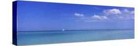 Sailboat in the Sea, Coquina Beach, Anna Maria Island, Manatee, Florida, USA-null-Stretched Canvas