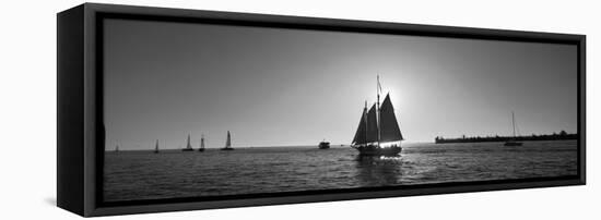 Sailboat, Key West, Florida, USA-null-Framed Stretched Canvas