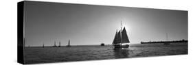 Sailboat, Key West, Florida, USA-null-Stretched Canvas