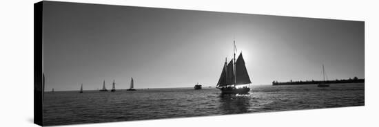 Sailboat, Key West, Florida, USA-null-Stretched Canvas