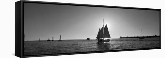 Sailboat, Key West, Florida, USA-null-Framed Stretched Canvas