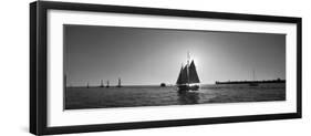 Sailboat, Key West, Florida, USA-null-Framed Photographic Print