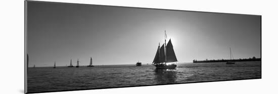 Sailboat, Key West, Florida, USA-null-Mounted Photographic Print