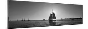 Sailboat, Key West, Florida, USA-null-Mounted Photographic Print