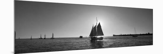 Sailboat, Key West, Florida, USA-null-Mounted Photographic Print