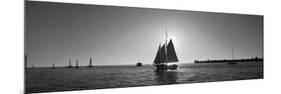 Sailboat, Key West, Florida, USA-null-Mounted Photographic Print