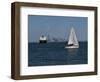 Sailboat, New York Harbor, 2016-Anthony Butera-Framed Premium Giclee Print