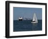 Sailboat, New York Harbor, 2016-Anthony Butera-Framed Premium Giclee Print