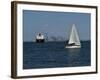 Sailboat, New York Harbor, 2016-Anthony Butera-Framed Giclee Print