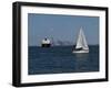 Sailboat, New York Harbor, 2016-Anthony Butera-Framed Giclee Print