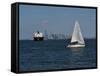 Sailboat, New York Harbor, 2016-Anthony Butera-Framed Stretched Canvas