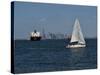 Sailboat, New York Harbor, 2016-Anthony Butera-Stretched Canvas