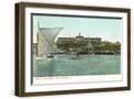 Brown Frame