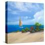 Sailboat on Coast I-Vivien Rhyan-Stretched Canvas