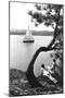 Sailboat on Lake Coeur d'Alene, Idaho-null-Mounted Art Print