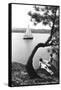 Sailboat on Lake Coeur d'Alene, Idaho-null-Framed Stretched Canvas
