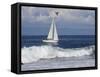 Sailboat on Monterey Bay, California-Lynn M^ Stone-Framed Stretched Canvas
