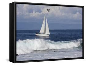 Sailboat on Monterey Bay, California-Lynn M^ Stone-Framed Stretched Canvas